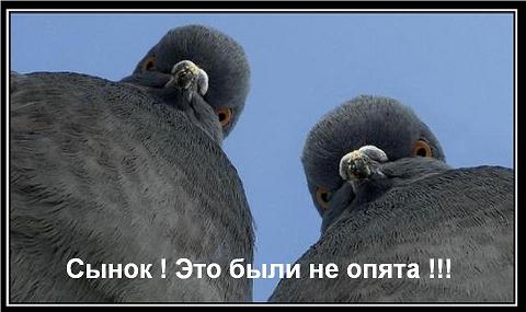 Насобирали "немножко" грибов...