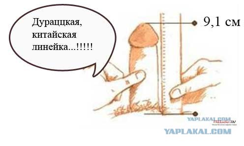 Полчище линеек