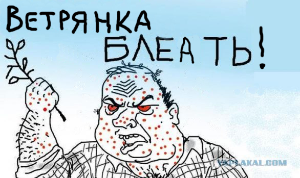 Камары блеать!