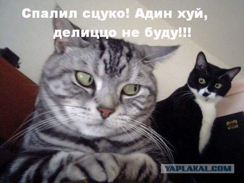 Поднимаем настроение