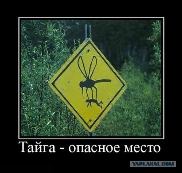 Подборка смешных картинок :)