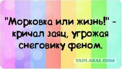 Так...солянка