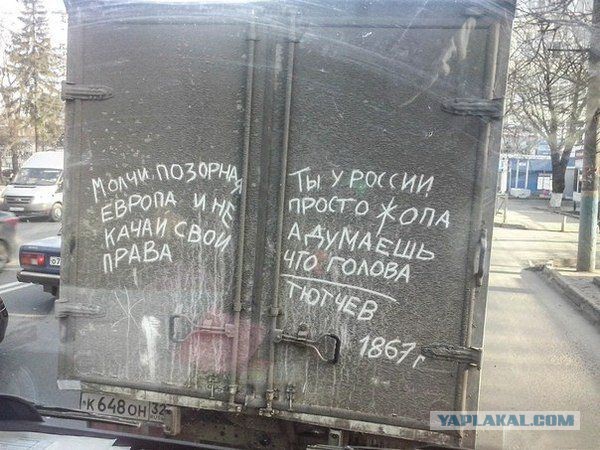 Картинки с утра.