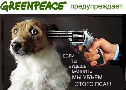 "Комментарии из соц.сетей"