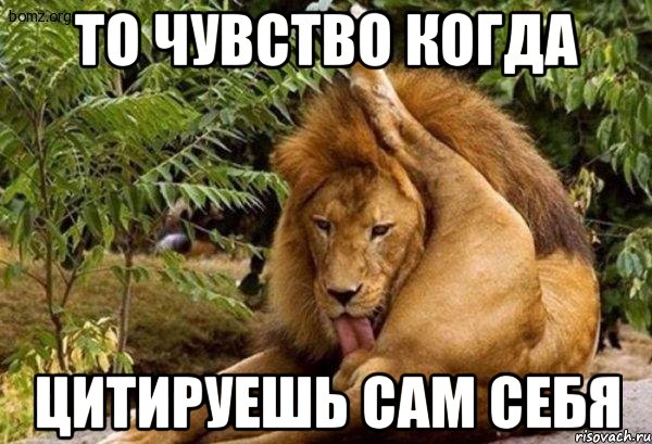 ЦБ не может удержать рубль от падения