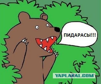 Глава Apple Тим Кук признался в гомосексуальности