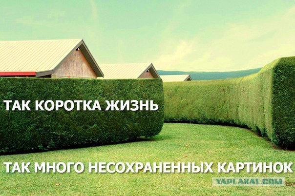 Веселые картинки, пятница.