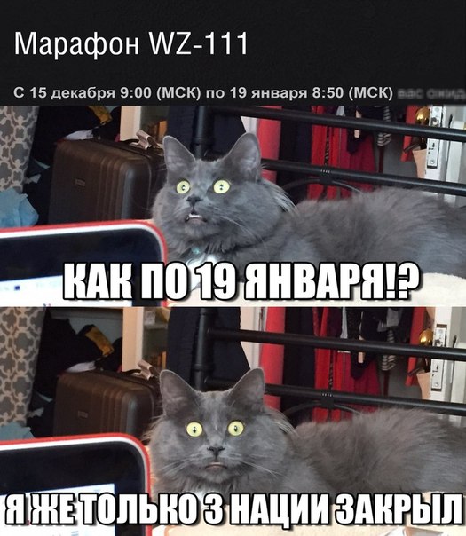 Wargaming 18