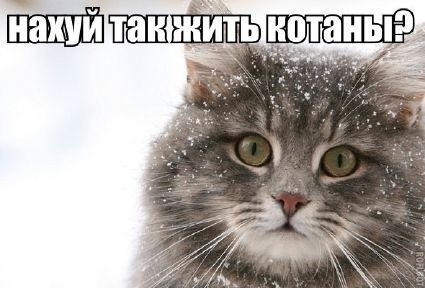 О нет, они тоже депрессуют!