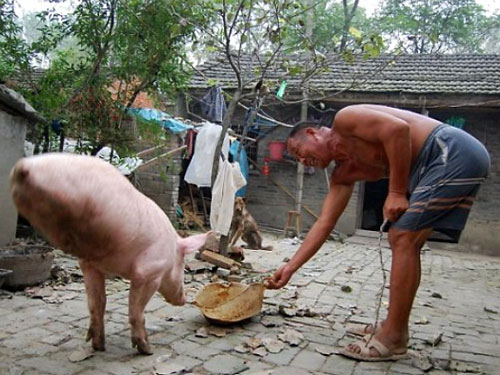 Мужики вы все такие?