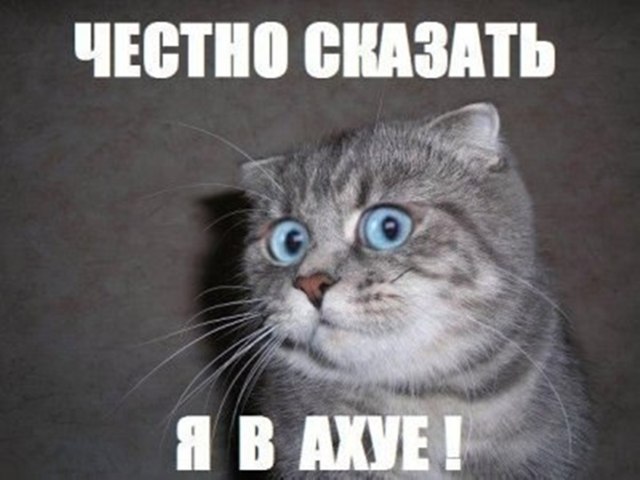О женских форумах