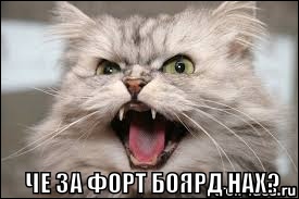 Игрушка для котиков
