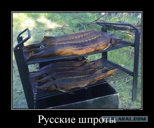 Картинки на пятницу