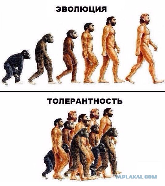 Т - толерантность