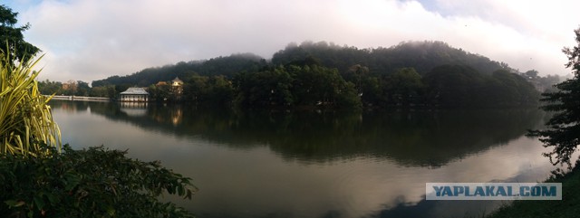 Самостоятельное путешествие в Шри-Ланку