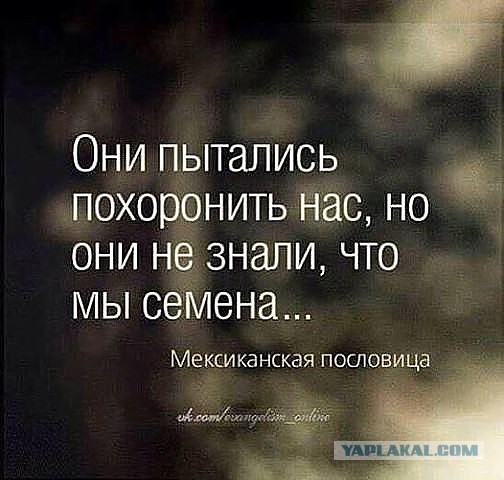 Фотоприколы