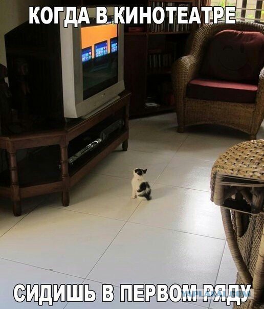 Абсурдный юмор ч.7