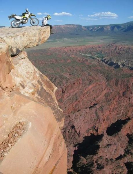 Картинки из сети