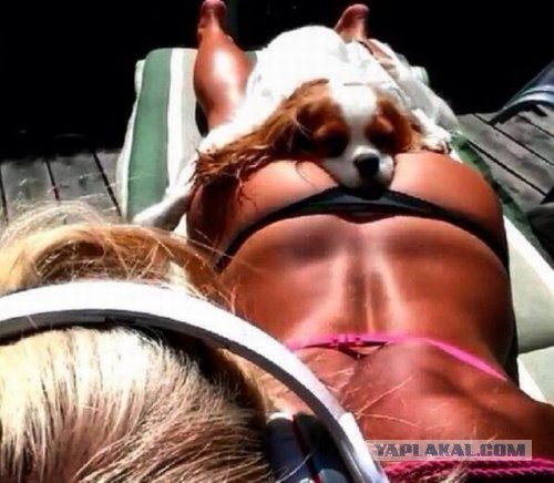 Подборка картинок