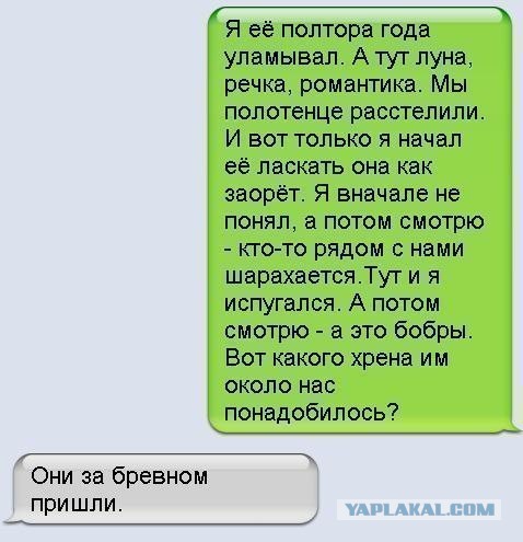 Подборка интересных и веселых картинок