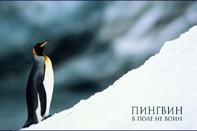 МЕГАПОДБОРКА