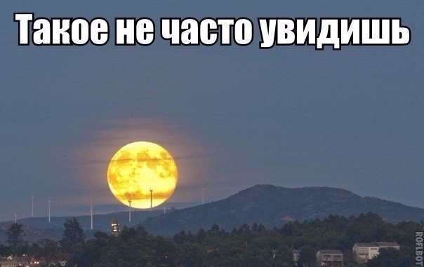 Небольшой микс картинок и гифок .