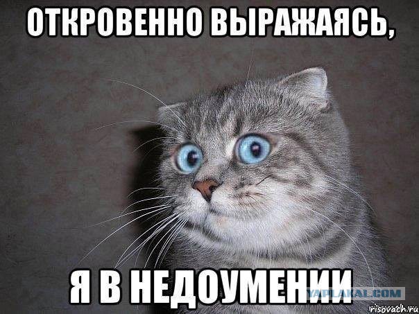 Боец Монсон приехал в Луганск за паспортом