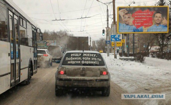 Картинки