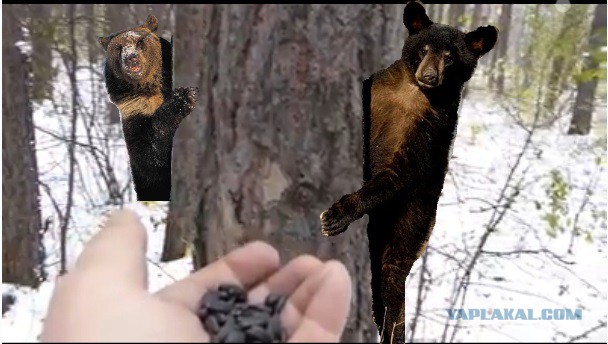 Семки есть. Подходите, угощайтесь!