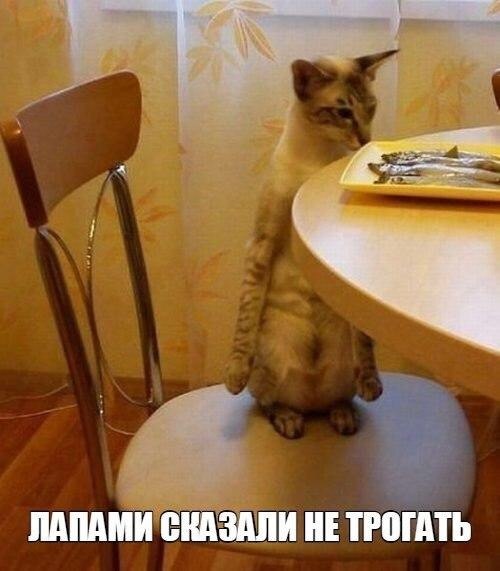 Всякого разного на пятницу!