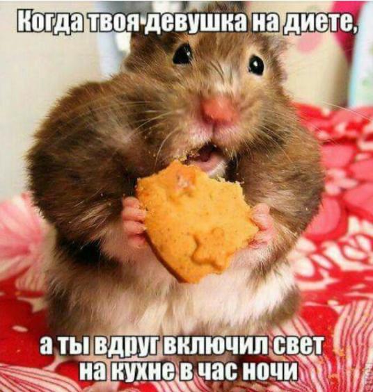 Подборка интересных и веселых картинок