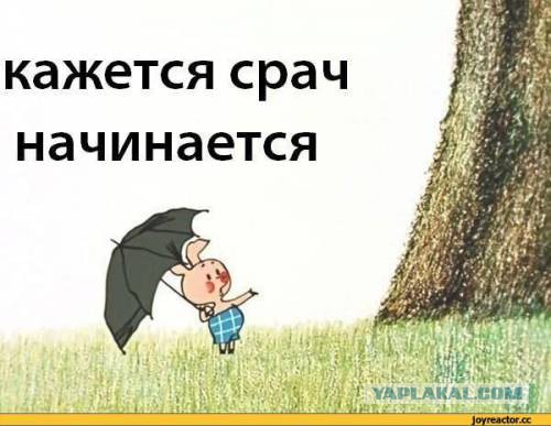 Про Москвичей