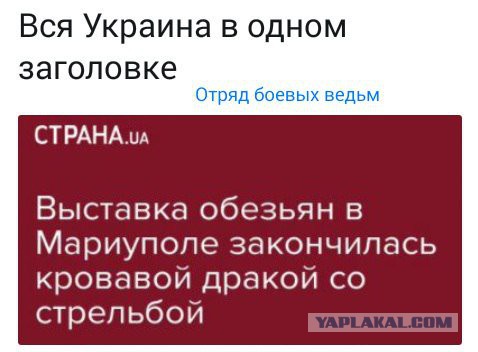 Смешные комментарии из социальных сетей 30.03.2018