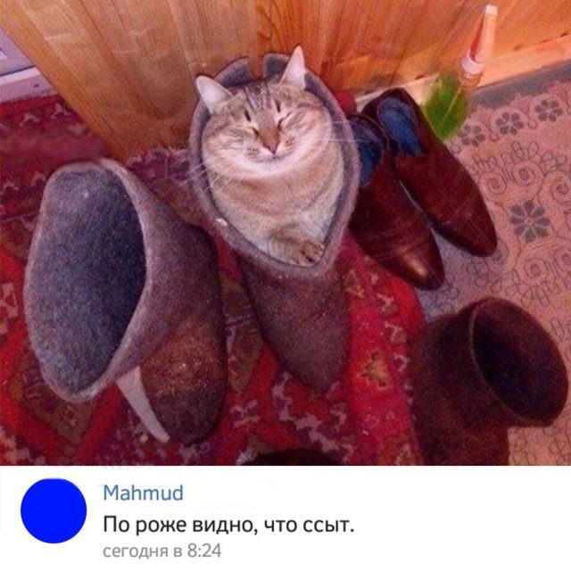Немного разного юмора