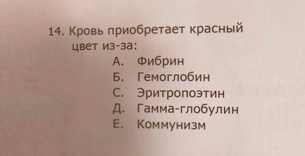 10 минут медицинской деградации заменяют 136 грамм сметаны