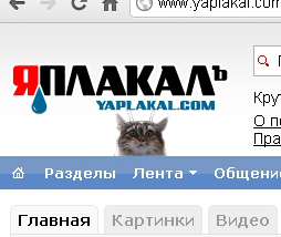 Интимный котовторник (23.08.11)
