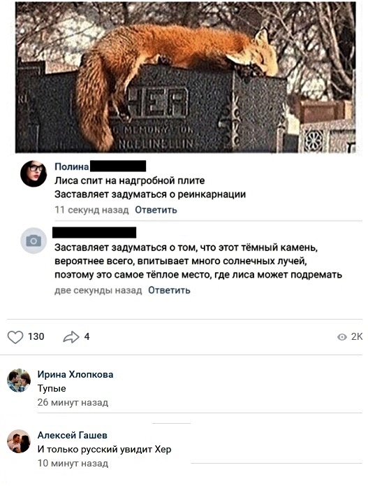 Анекдоты, соц-сети и картинки с надписями