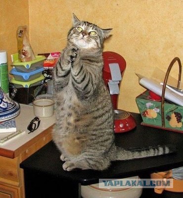 Яповчанки с праздником любви и весны
