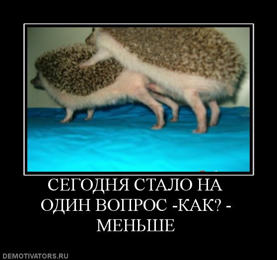 Первая мысль...
