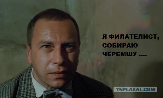 В Германии задержали чеченцев собирающих черемшу