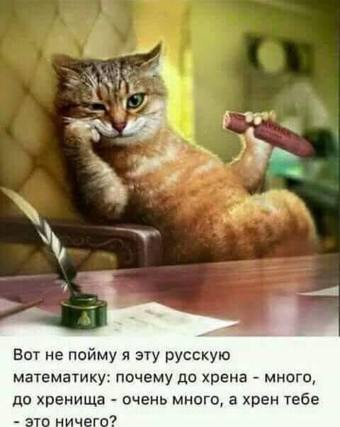 Забавные шутки, картинки и фразы из этих ваших интернетов