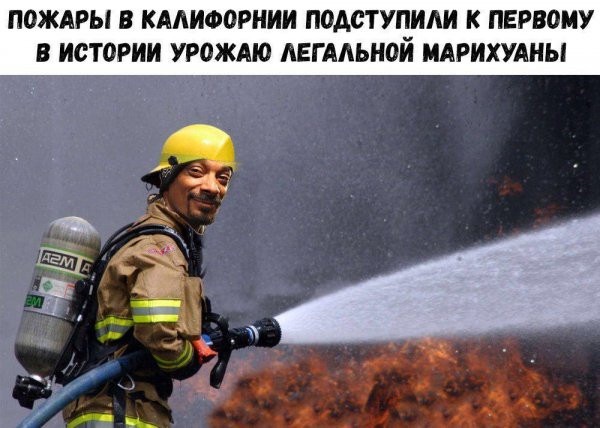 Прикольные и просто красивые картинки 29.09.2020
