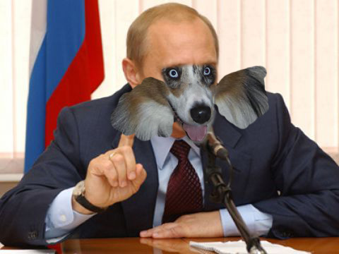 Псина