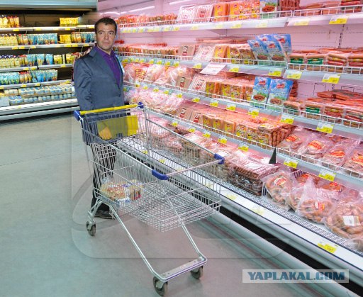 Наночек Медведева. Пожабим?