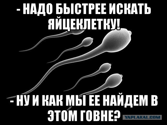 Картинки разные 30.12.20