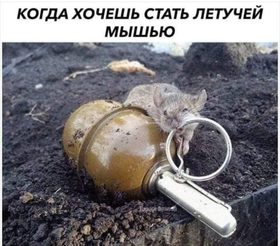 https://s00.yaplakal.com/pics/pics_original/9/4/3/15211349.jpg