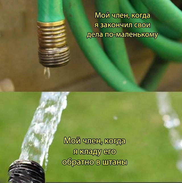 Весёлый полтишок 25.04