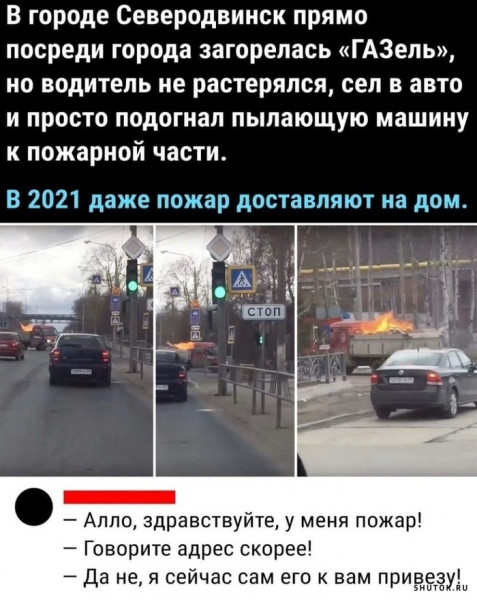 Весёлый полтишок 14.10