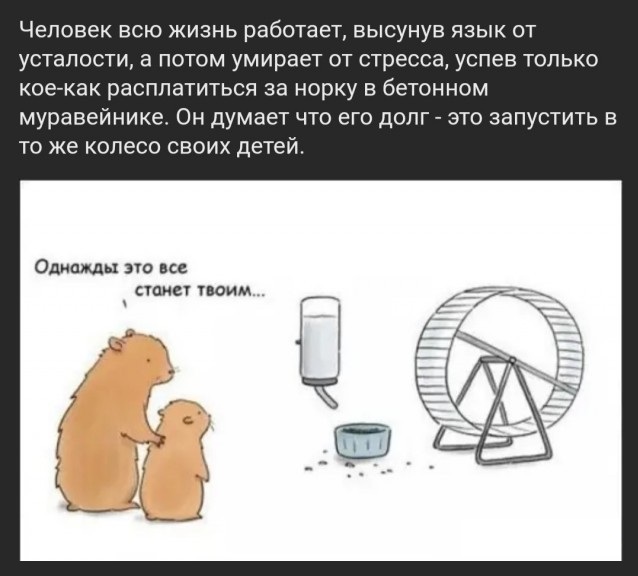 Всяческие картинки 08.11.2021