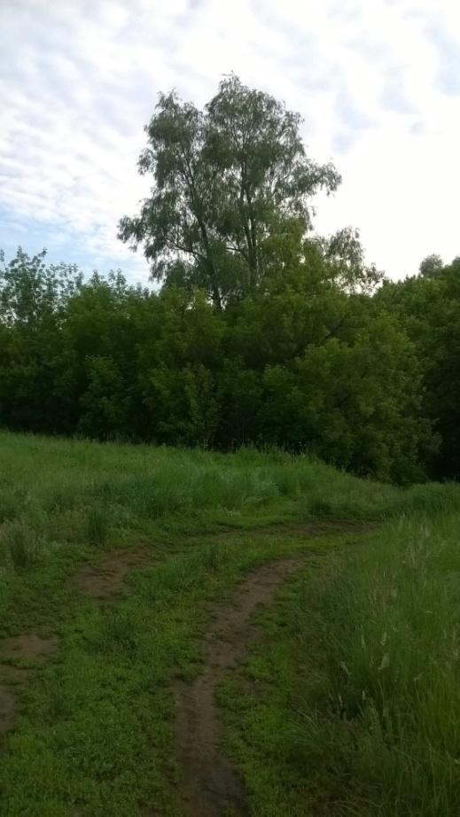 Декабрь на Южном Урале